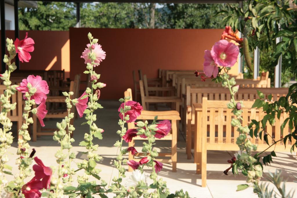 Storchencamp Gaestehaus Purbach Purbach am Neusiedlersee Ngoại thất bức ảnh