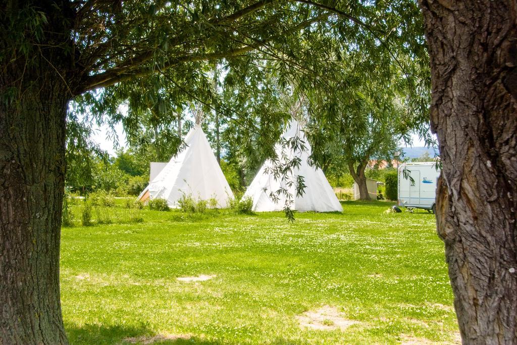 Storchencamp Gaestehaus Purbach Purbach am Neusiedlersee Ngoại thất bức ảnh