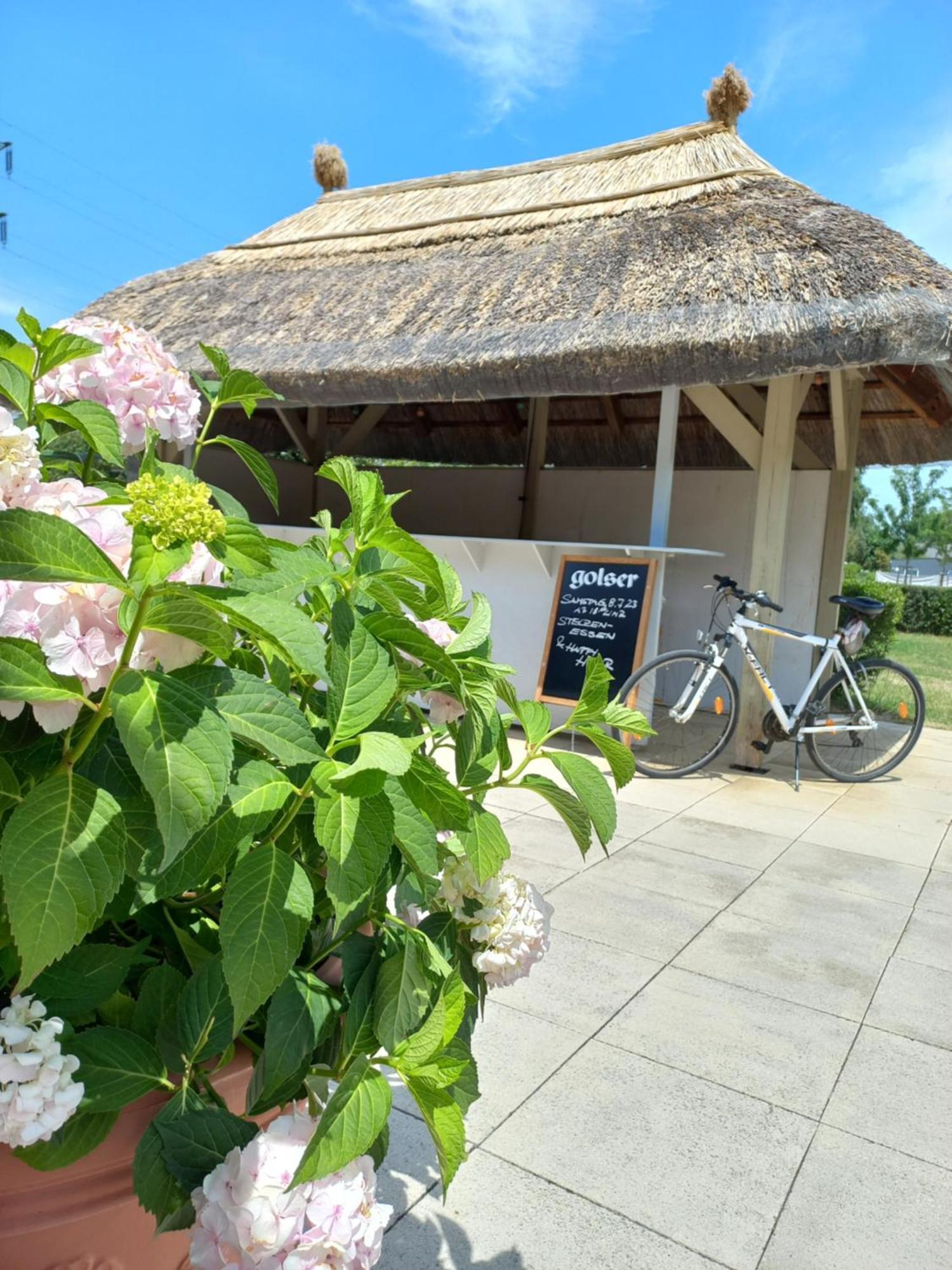 Storchencamp Gaestehaus Purbach Purbach am Neusiedlersee Ngoại thất bức ảnh