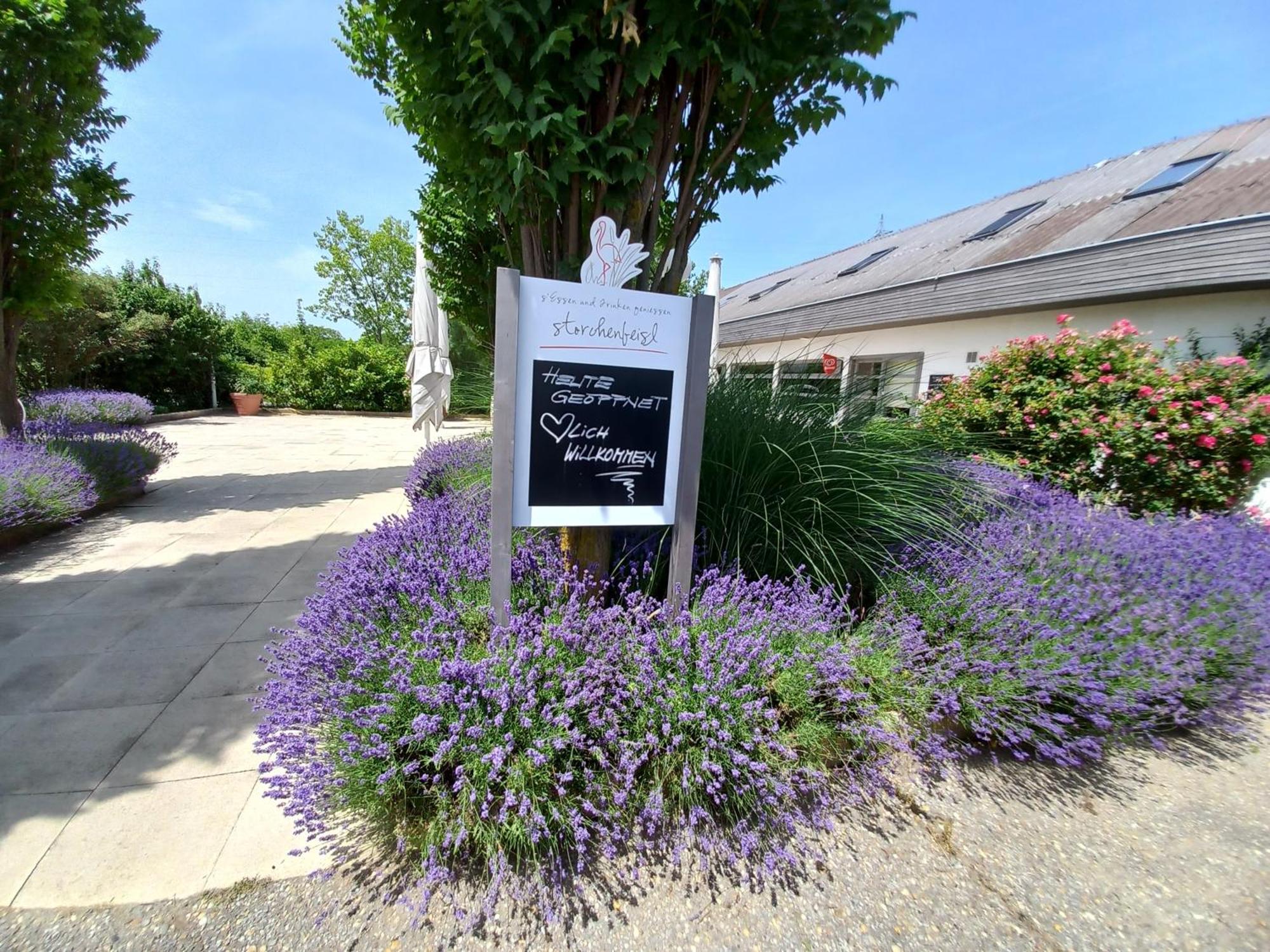 Storchencamp Gaestehaus Purbach Purbach am Neusiedlersee Ngoại thất bức ảnh