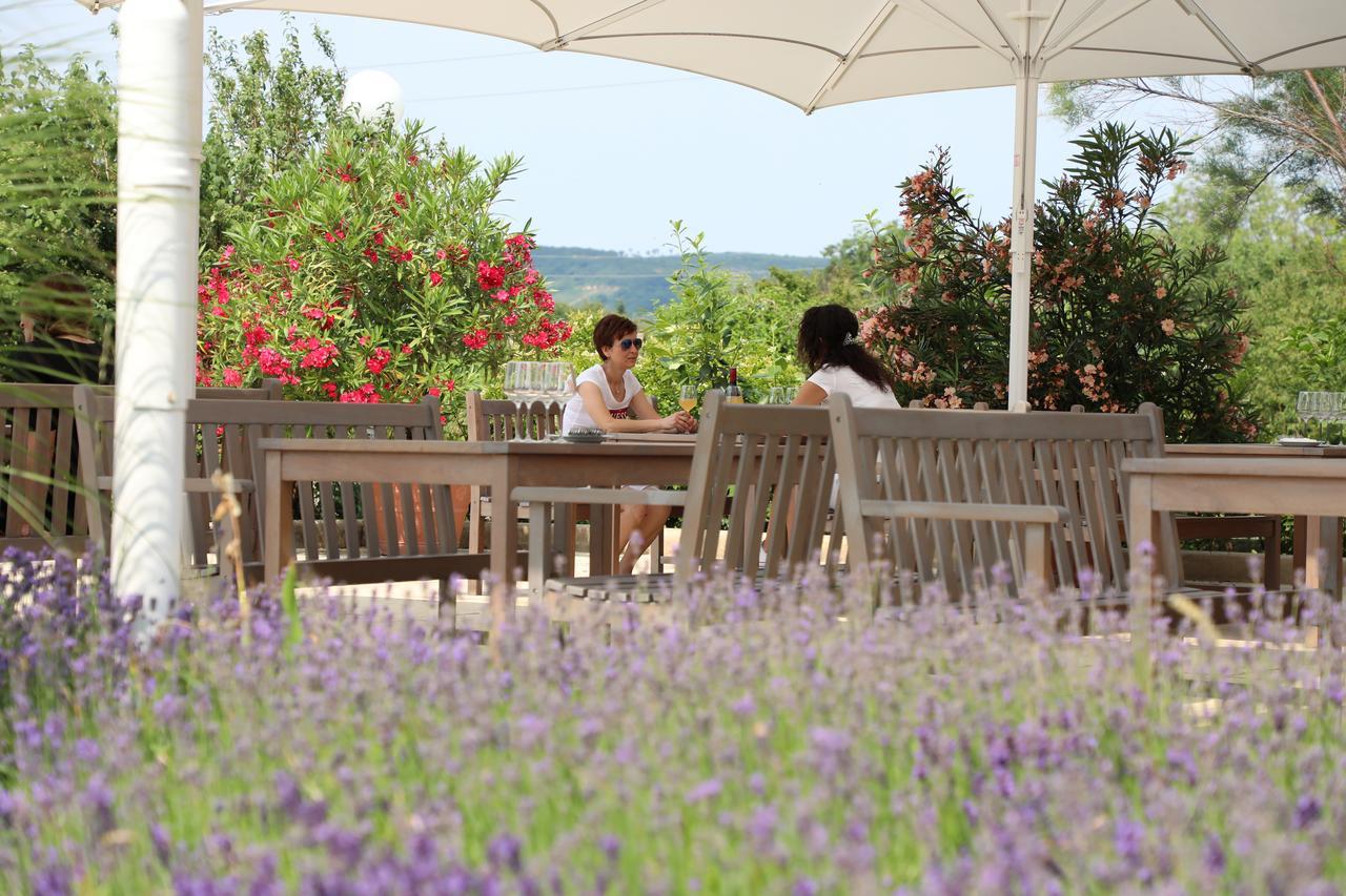 Storchencamp Gaestehaus Purbach Purbach am Neusiedlersee Ngoại thất bức ảnh